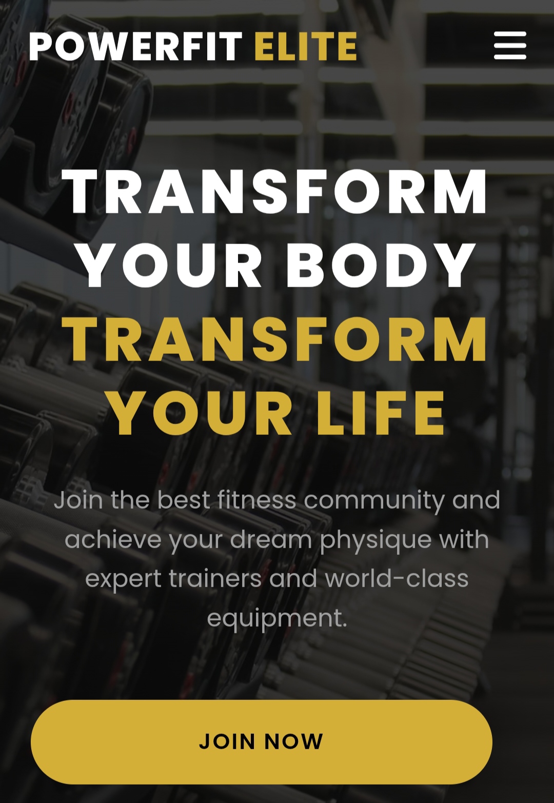 PowerFit Gym Website by Hanzu Studio Gorakhpur